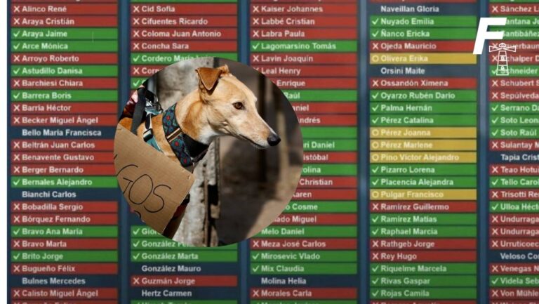 Lee más sobre el artículo Proyecto que prohibía carreras de perros fue rechazado: ¿qué sanciones contemplaba y cómo fue su tramitación?