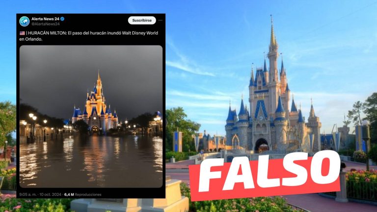 Lee más sobre el artículo (Imagen) “Así quedó Disney World tras el paso del Huracán Milton en Florida”: #Falso