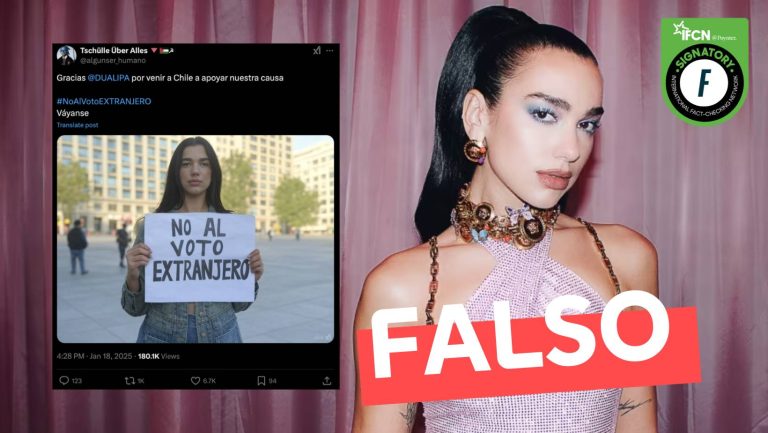 Lee más sobre el artículo (Imagen) Dua Lipa con cartel que dice: “No al voto extranjero”: #Falso