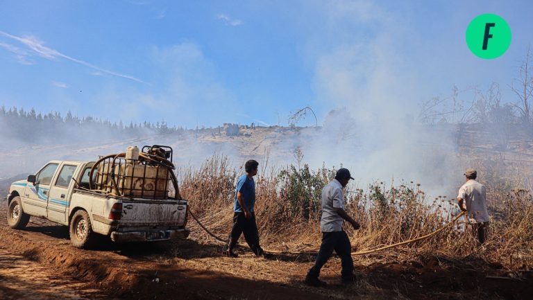 Lee más sobre el artículo Prevención, prohibición de construir en suelo quemado y aumentar penas a involucrados: las leyes para combatir incendios que duermen en el Congreso