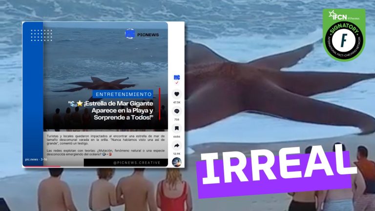Lee más sobre el artículo (Video) “Estrella de mar gigante aparece en la playa”: #Irreal