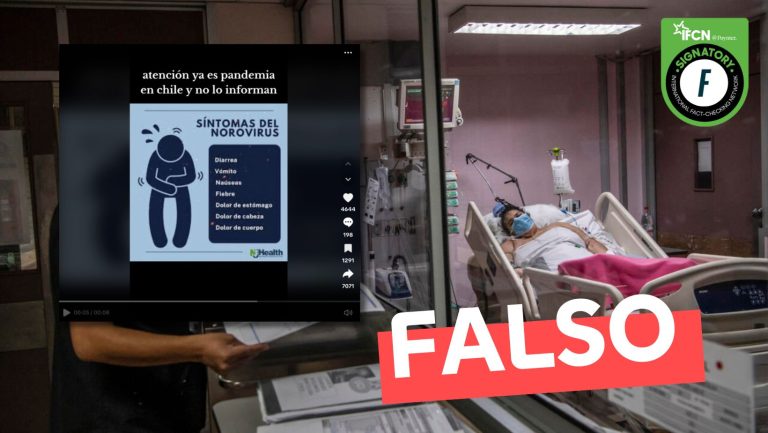 Lee más sobre el artículo “Norovirus ya es pandemia en Chile y no lo informan”: #Falso