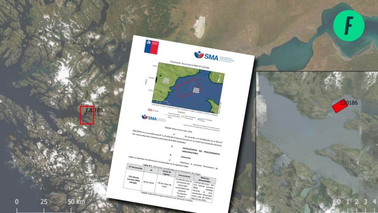 Lee más sobre el artículo SMA formula cargos contra filial de Blumar tras exceder producción autorizada de salmones en Reserva Nacional Kawésqar