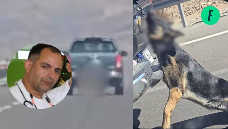 Lee más sobre el artículo ¿Quién es Álvaro Alonso? Médico y funcionario PDI involucrado en caso de maltrato animal en Copiapó