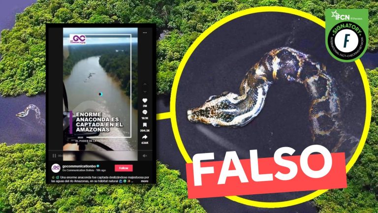 Lee más sobre el artículo (Video) “Enorme anaconda es captada en el Amazonas”: #Falso