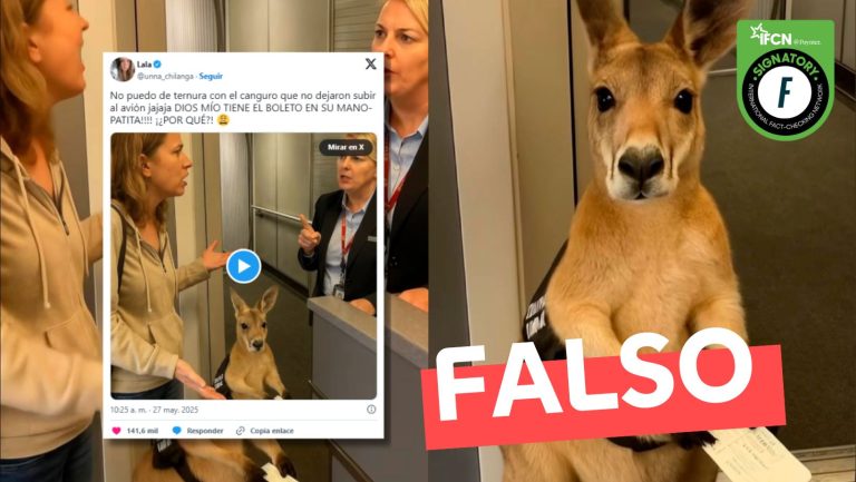 Lee más sobre el artículo (Video) No dejan a un canguro de apoyo emocional subir a un avión: #Falso