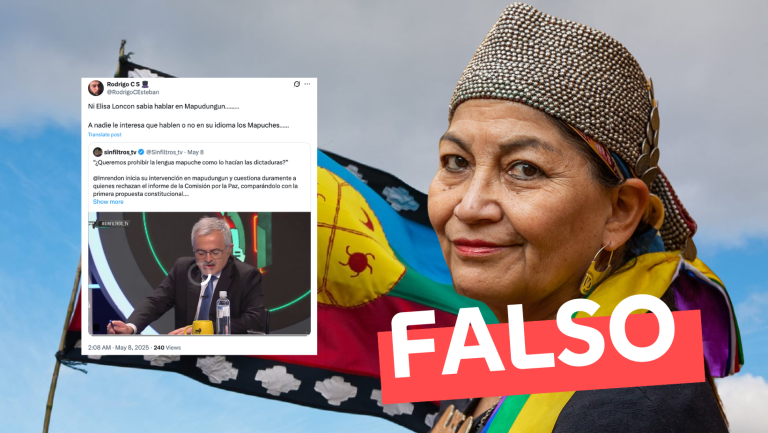 Lee más sobre el artículo Elisa Loncon no habla mapudungún: #Falso