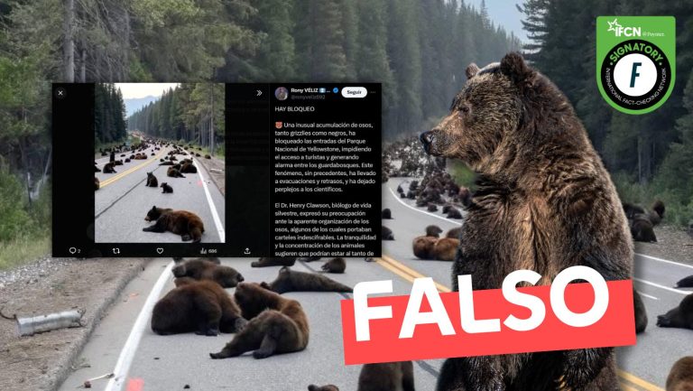 Lee más sobre el artículo (Imagen) Acumulación masiva de osos en la entrada del parque nacional de Yellowstone: #Falso