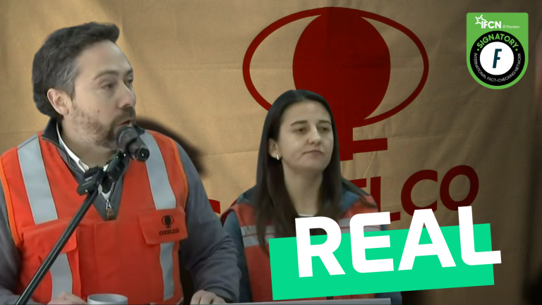 Lee más sobre el artículo “64 y 47 millones de pesos mensuales ganan Andrés Music y Mary Carmen Llanos de Codelco”: #Real