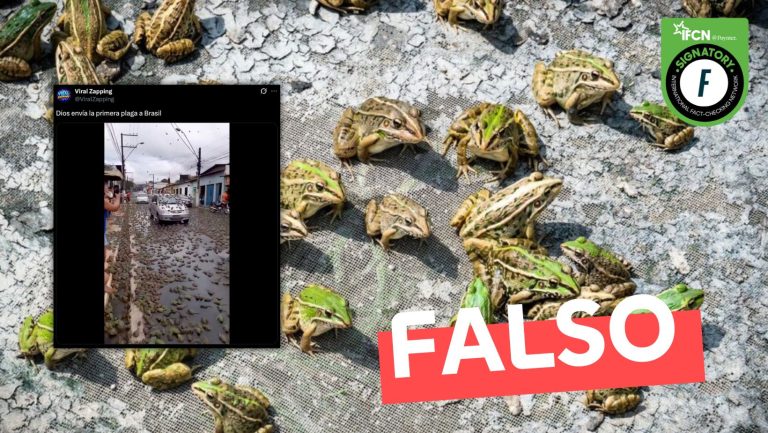 Lee más sobre el artículo (Video) “Lluvia de ranas en Brasil”: #Falso