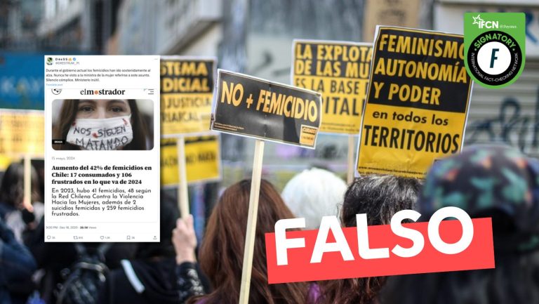 Lee más sobre el artículo “Durante el gobierno actual los femicidios han ido sostenidamente al alza”: #Falso
