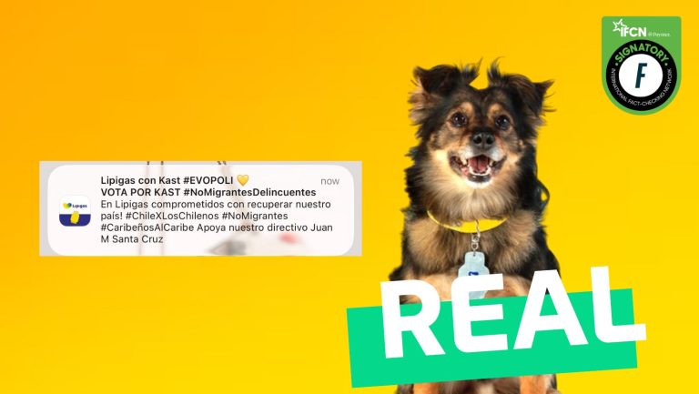 Lee más sobre el artículo Mensajes de App de Lipigas llamando a votar por José Antonio Kast: #Real